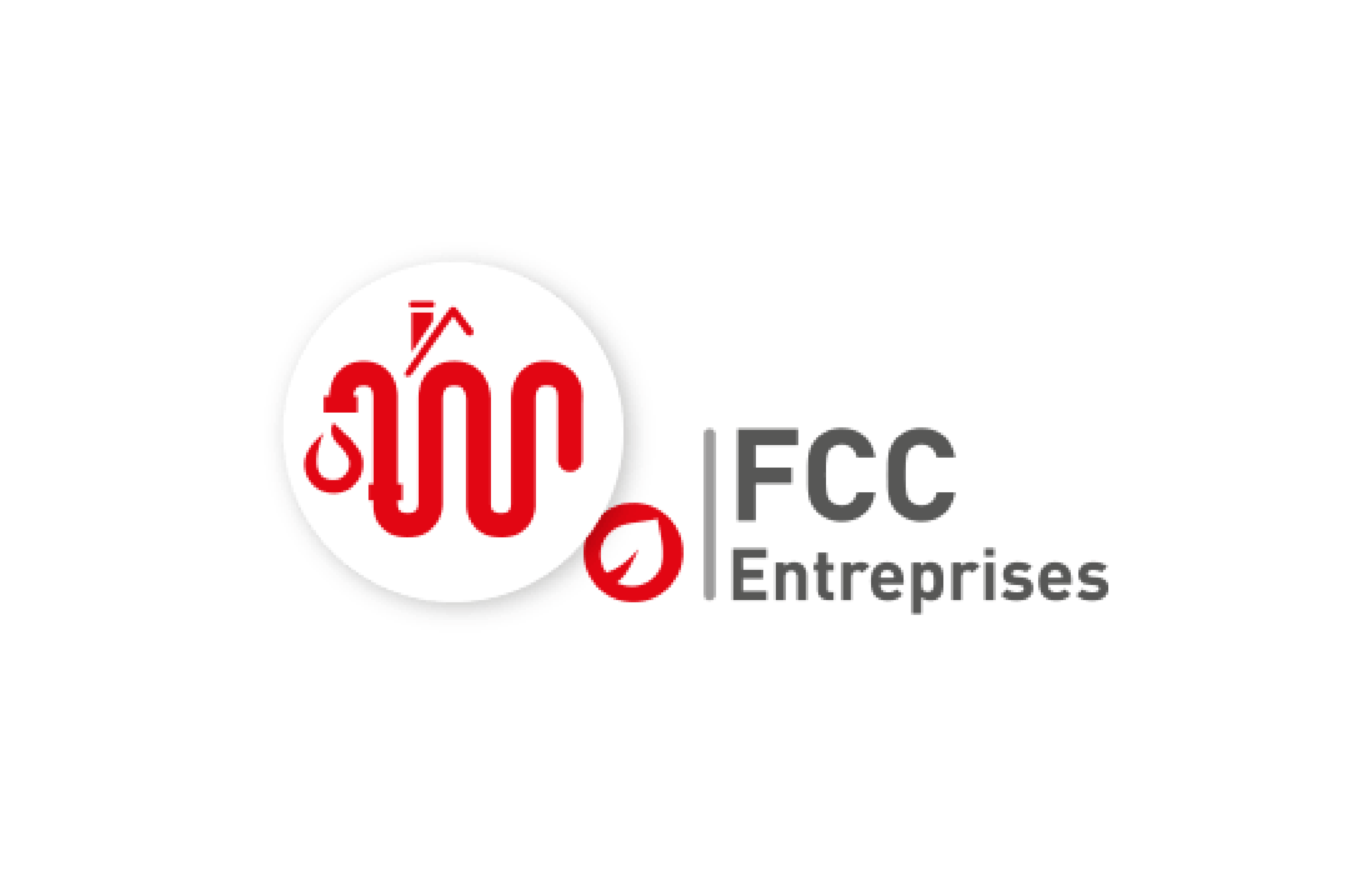 Workshop FCC