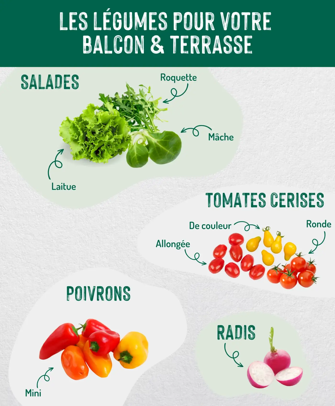 66743ef0323b1_legumes_urbaine copie.png
