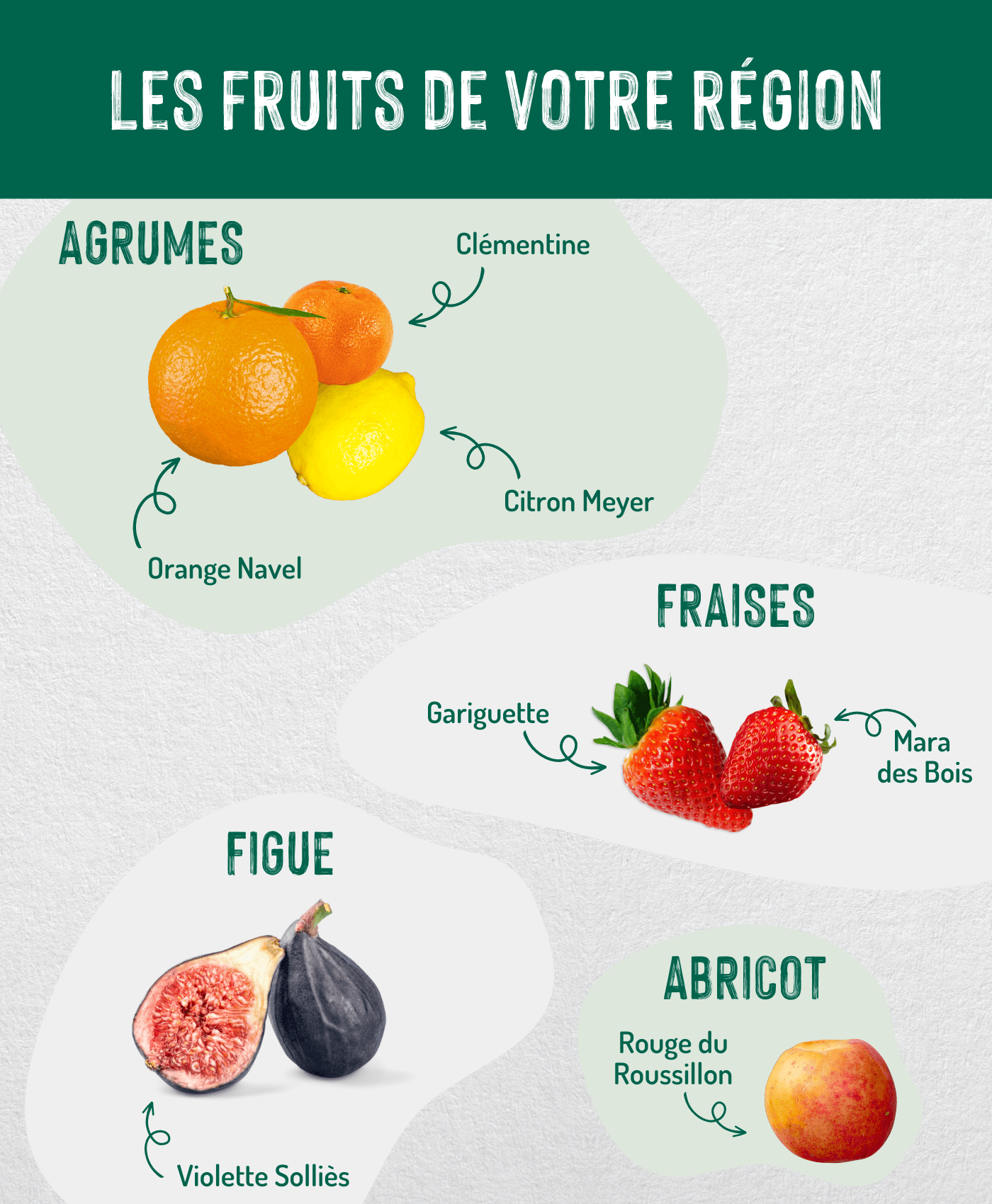 Fruits Méditerranéenne copie