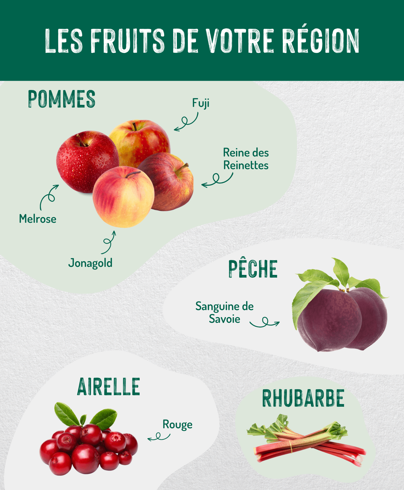 Fruits Montagneuse copie