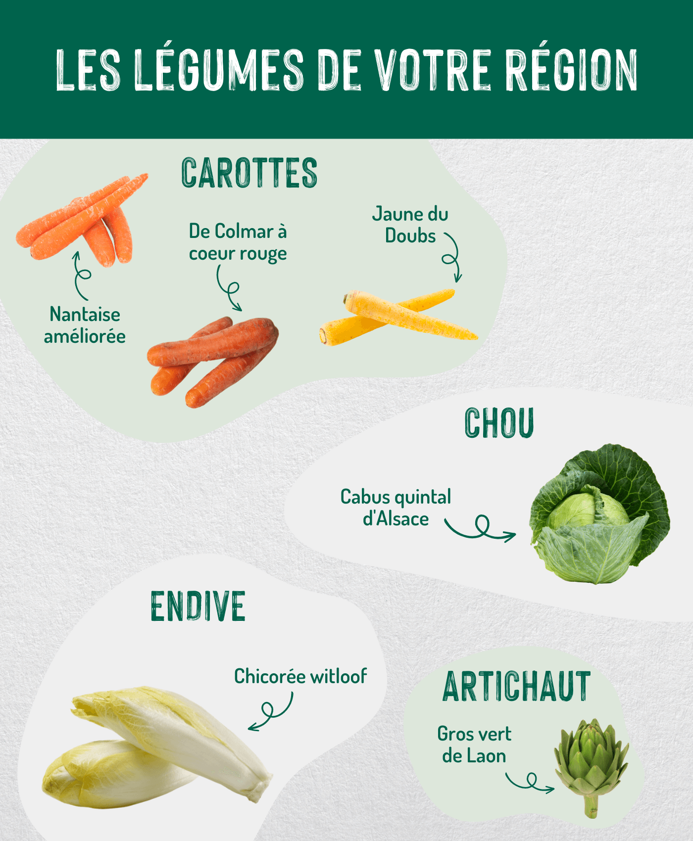 Légumes Continentale copie