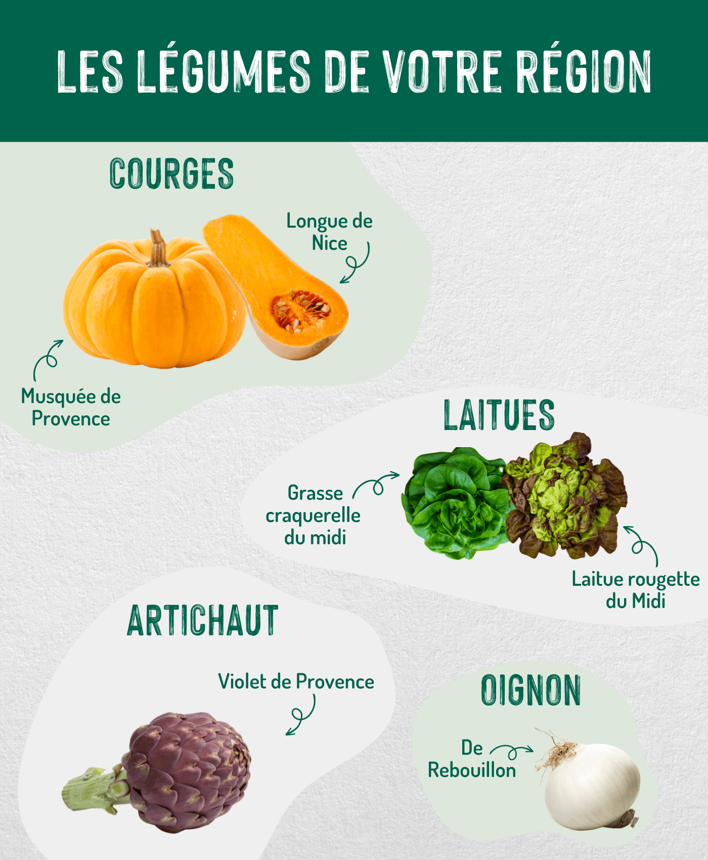 Légumes Méditerranéenne copie