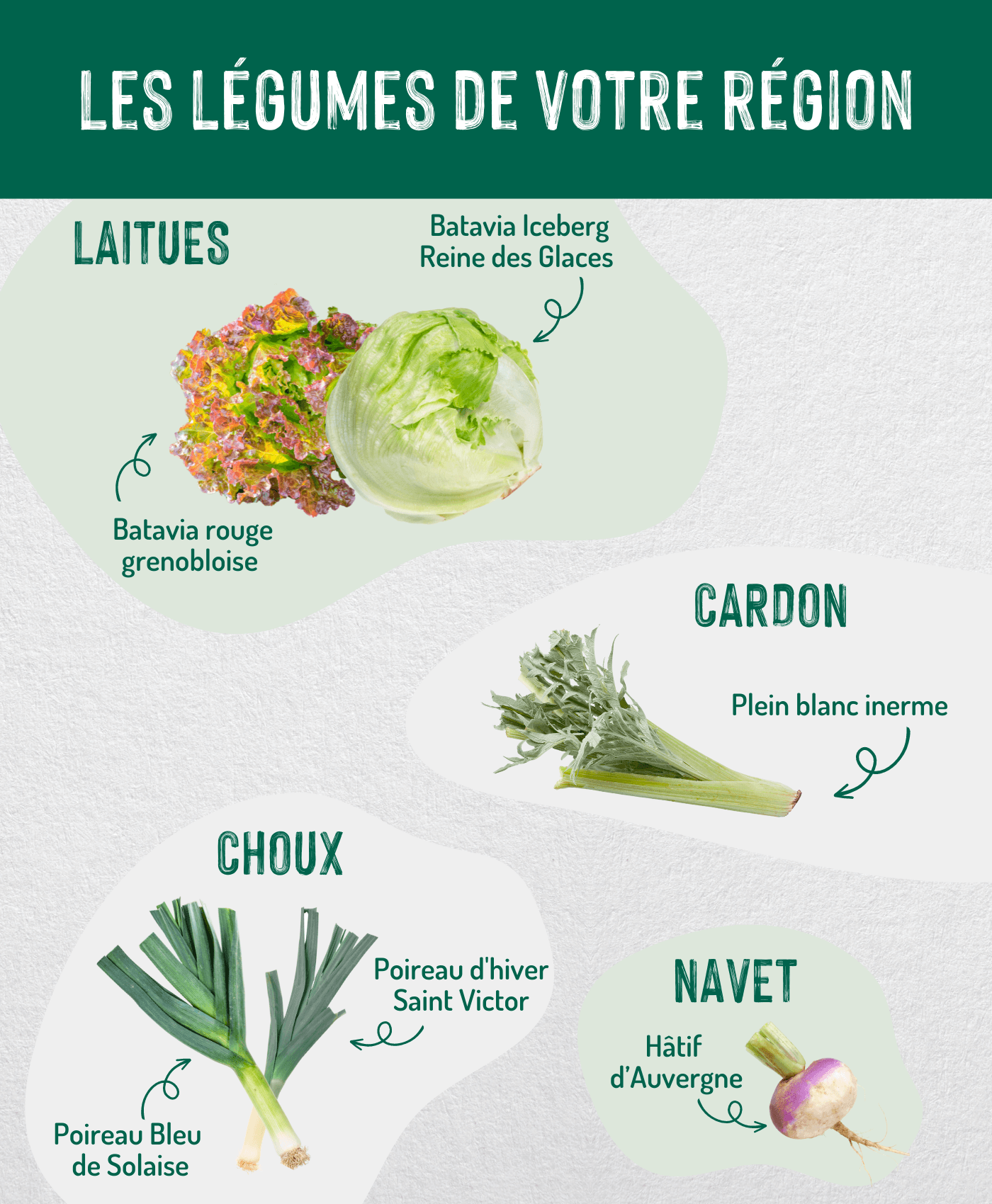 Légumes Montagneuse copie