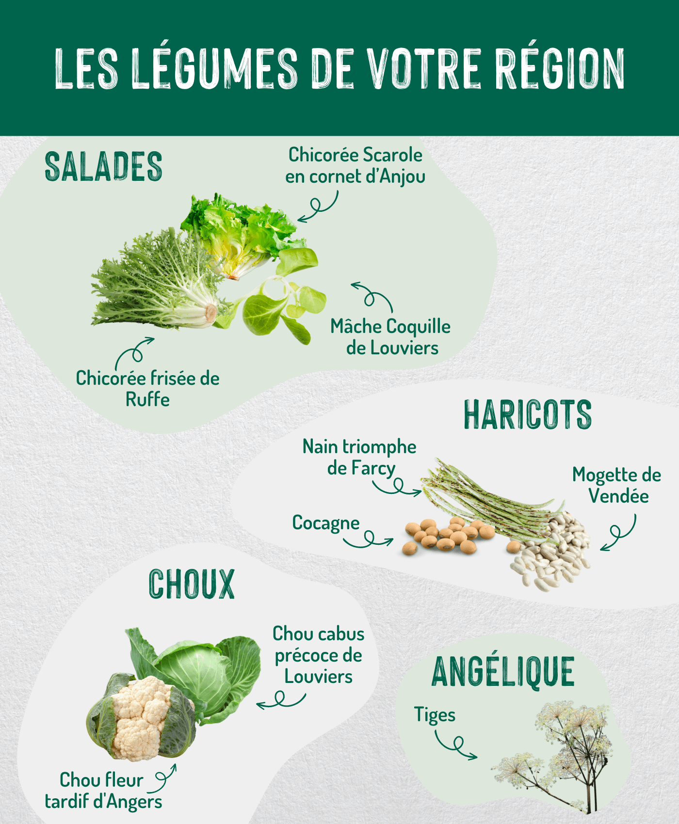 Légumes Océanique copie